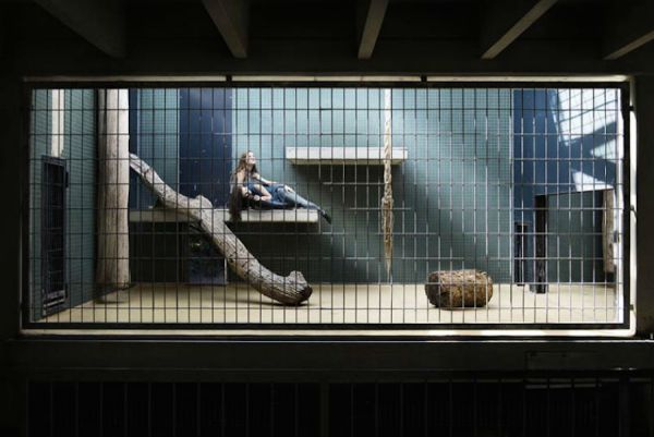 human-zoo-photo_3.jpg (40.27 Kb)