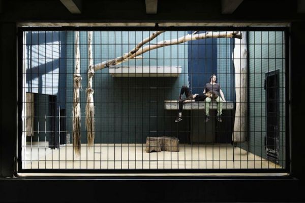 human-zoo-photo_4.jpg (44.18 Kb)