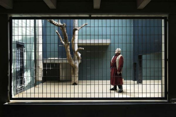 human-zoo-photo_5.jpg (43.13 Kb)