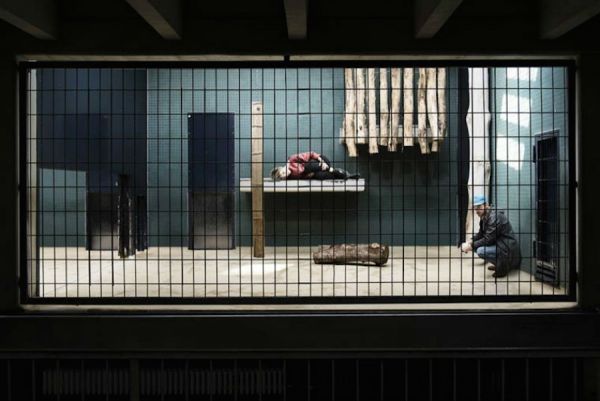 human-zoo-photo_7.jpg (39.94 Kb)
