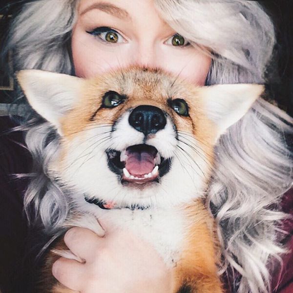 juniper-fox-happiest-instagram-33.jpg (60.33 Kb)