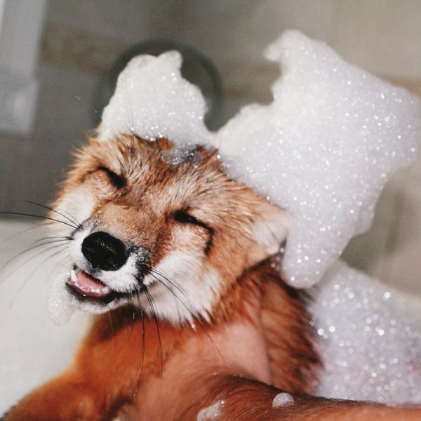 juniper-fox-happiest-instagram-7.jpg (.65 Kb)