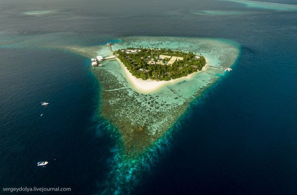 maldives01.jpg (34.4 Kb)