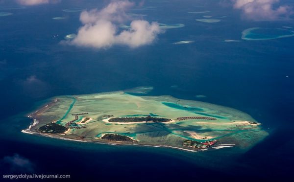 maldives10.jpg (26.05 Kb)