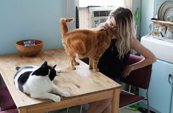 my-photo-series-of-girls-and-their-cats-on-instagram___700.jpg (39.28 Kb)