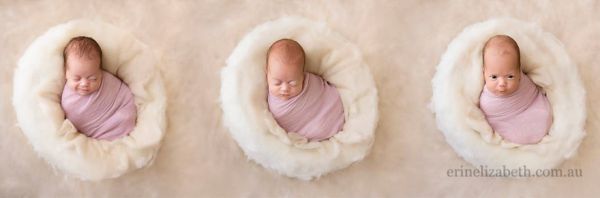 newborn-baby-photoshoot-quintuplets-kim-tucci-erin-elizabeth-hoskins-19.jpg (14. Kb)