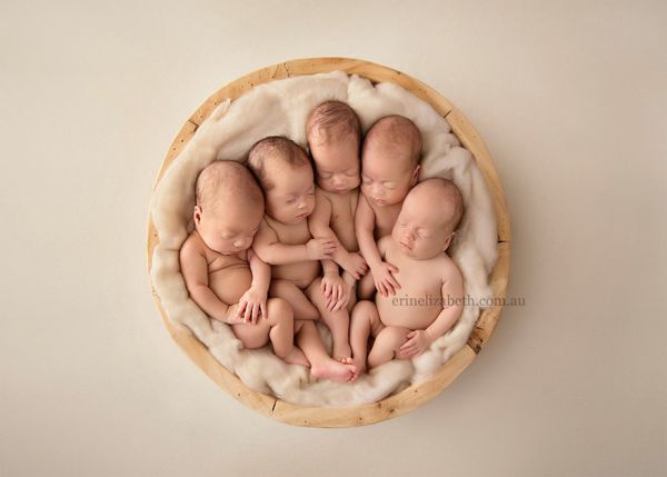 newborn-baby-photoshoot-quintuplets-kim-tucci-erin-elizabeth-hoskins-6.jpg (24.28 Kb)