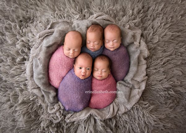 newborn-baby-photoshoot-quintuplets-kim-tucci-erin-elizabeth-hoskins-7.jpg (69.27 Kb)