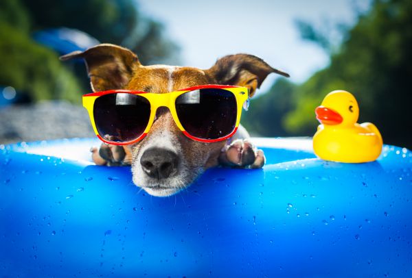 shutterstock_1509158.jpg (33.34 Kb)