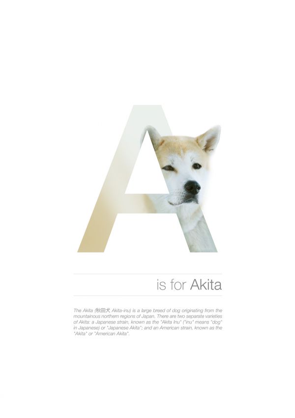 the-dog-alphabet_1.jpg (21.29 Kb)
