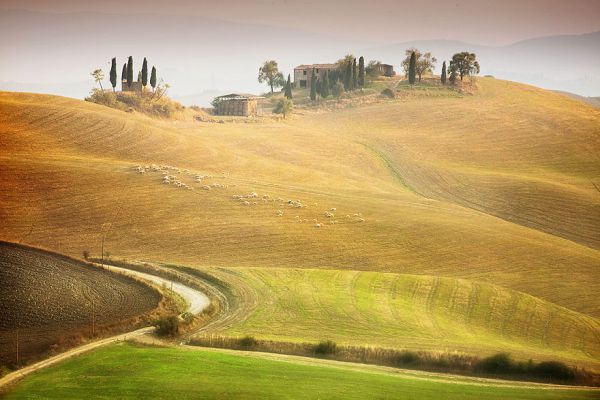 the-idyllic-beauty-of-tuscany-that-i-captured-during-my-trips-to-italy40__880.jpg (46.23 Kb)