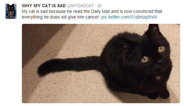 top-tweets-why-my-cat-is-sad.png (269.39 Kb)