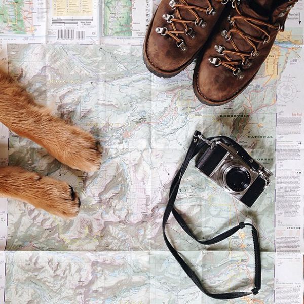 traveling-dog-aspen-the-mountain-pup-instagram-1.jpg (89.81 Kb)