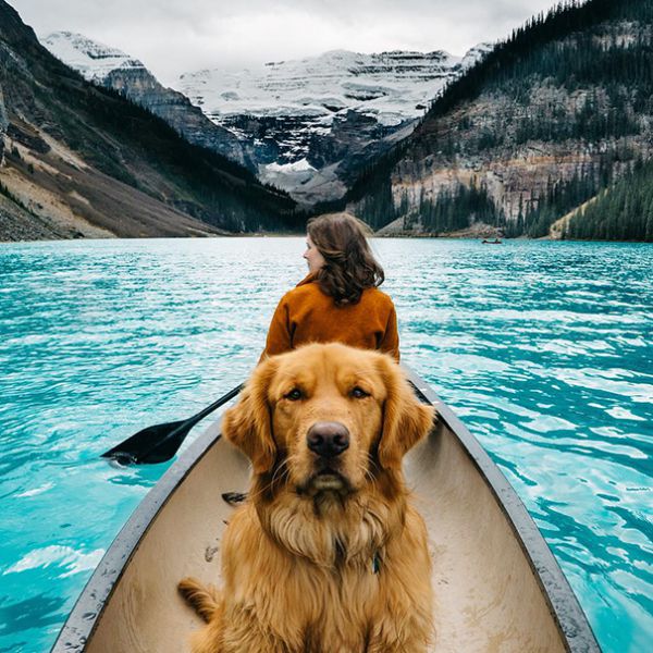 traveling-dog-aspen-the-mountain-pup-instagram-35.jpg (92.86 Kb)