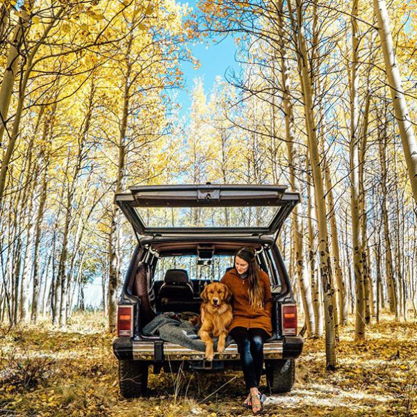 traveling-dog-aspen-the-mountain-pup-instagram-44.jpg (1.38 Kb)