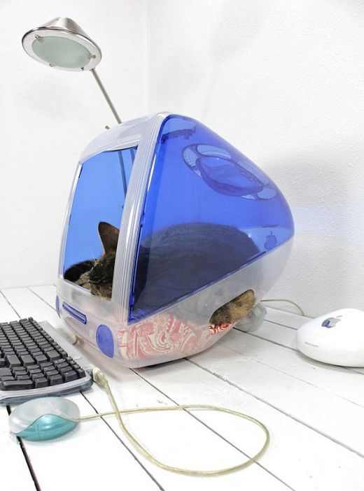 think-different-imac-upcycled-pet-beds-by-atomic-attic-5.jpg (45.72 Kb)