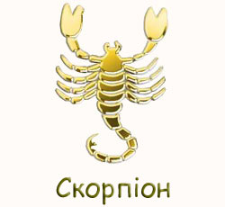 0255_skorpion.jpg (10.44 Kb)