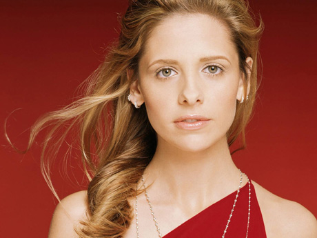 445-sara-mishel-gellar-or-sarah-michelle-gellar-1024x768-www.gdefon.ru.jpg (77.56 Kb)