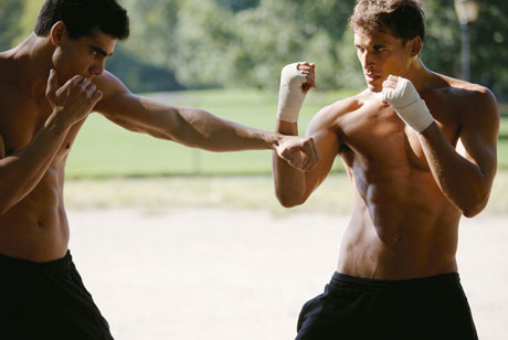 7192_macho8.jpg (40.91 Kb)