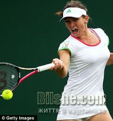 8601_halep3.jpg (11.18 Kb)