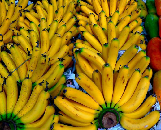 banani_foto.jpg (77.89 Kb)