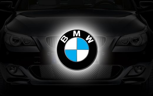 bmw-logo-stock-image-graphic-design-2013.jpg (17.41 Kb)