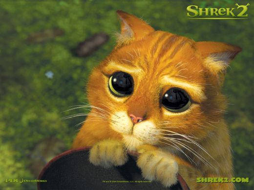 cats-wallpapers-shrek-cats-eyes-desktop-background-pics.jpg (32.81 Kb)