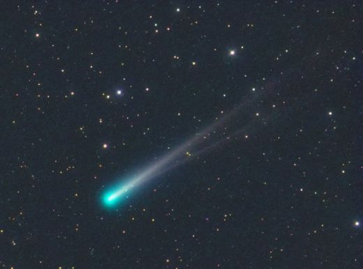 comet-ison-michael-jauerling-nov-10-1-2013-e1384528112756.jpg (21.56 Kb)