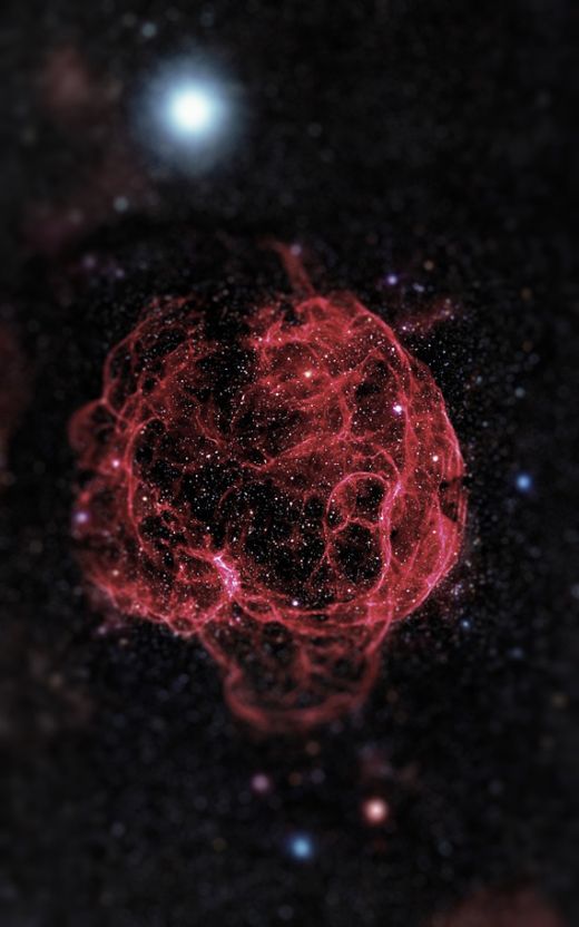 cosmos3.jpg (50.97 Kb)