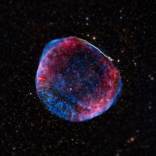 cosmos5.jpg (37.46 Kb)
