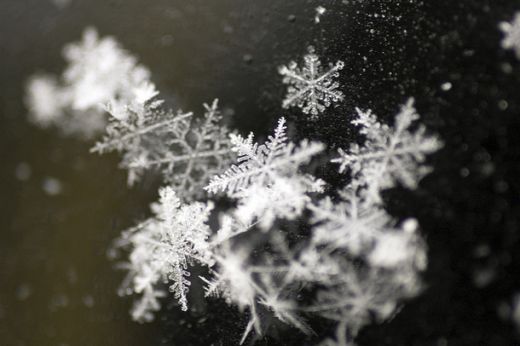 favim_com-nature-snow-winter-165266.jpg (28.07 Kb)