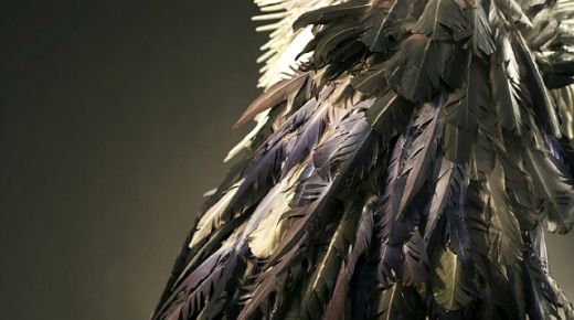 feathers881.jpg (28.66 Kb)