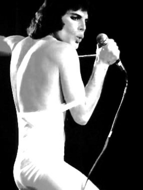 freddiemercurylargemsg119355955119.jpg (34.02 Kb)