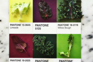 Pantone