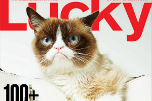 Grumpy Cat Lucky
