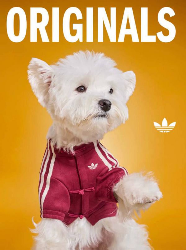 0167_6.jpg (52.3 Kb)