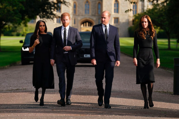 0294_image_4.png (377.5 Kb)