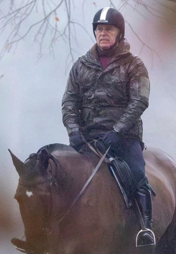 0686_image_1.png (6.41 Kb)