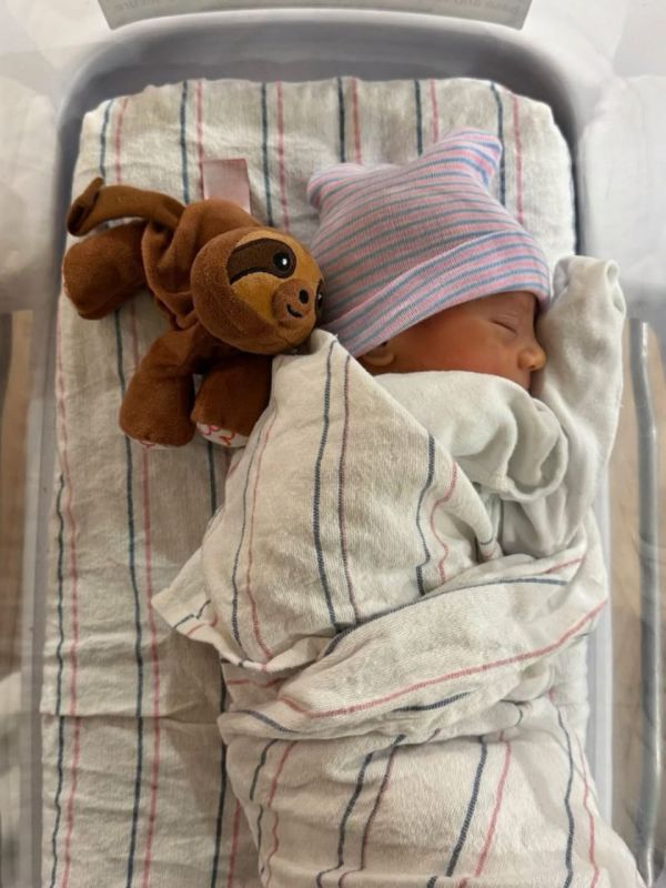 0785_002.jpeg (72.27 Kb)