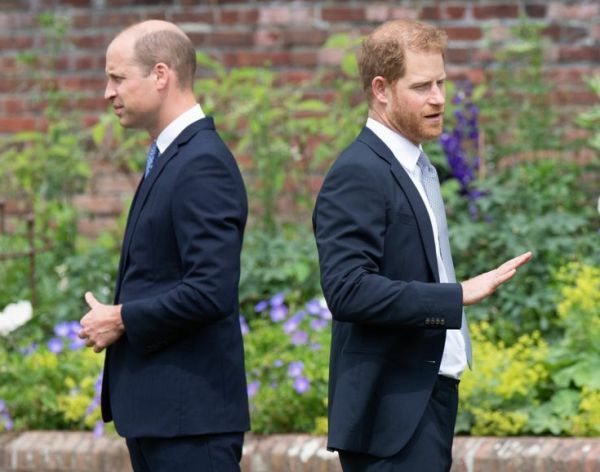 0889_princ_vilyam_i_princ_garri.jpeg (45 Kb)