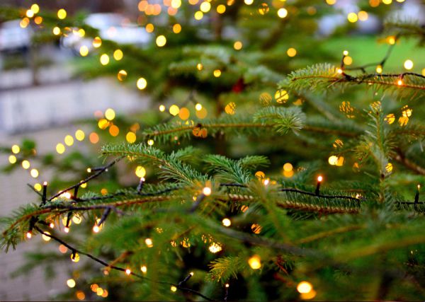 1197_5.jpg (53.84 Kb)