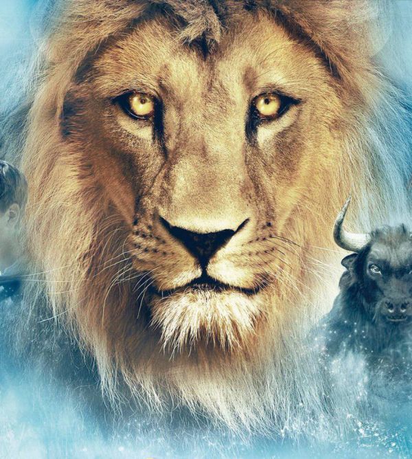 19_4.jpg (108.32 Kb)