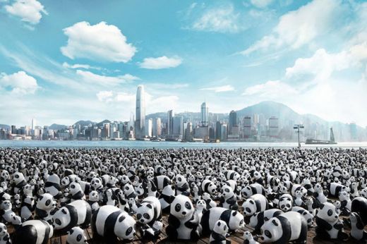 1600_pandas_hong_kong_11.jpg (45.71 Kb)