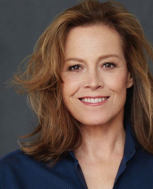 1790_sigurni_viver.jpg (.97 Kb)