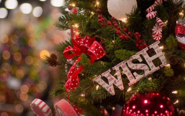 1977_000.jpg (46.38 Kb)