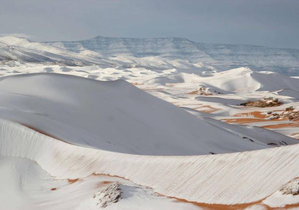 2022_3.jpg (32.43 Kb)