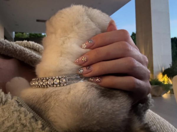 2316_image_8.png (329.68 Kb)