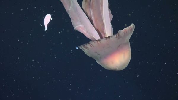 3253_3.jpg (16.02 Kb)