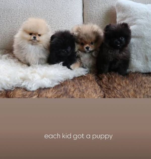 3621_1.jpg (38.45 Kb)