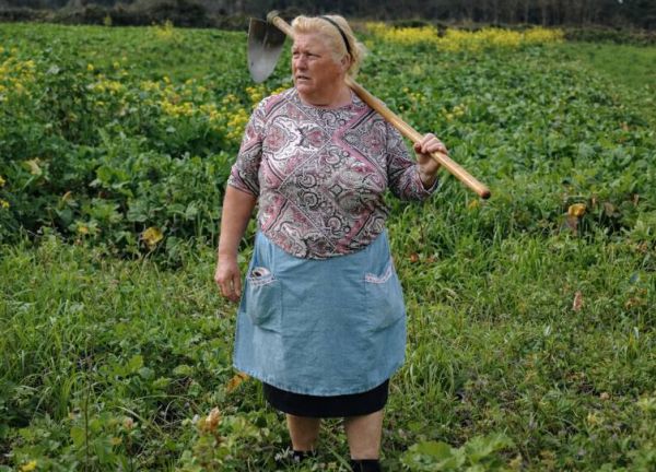 3758_11.jpg (71.87 Kb)